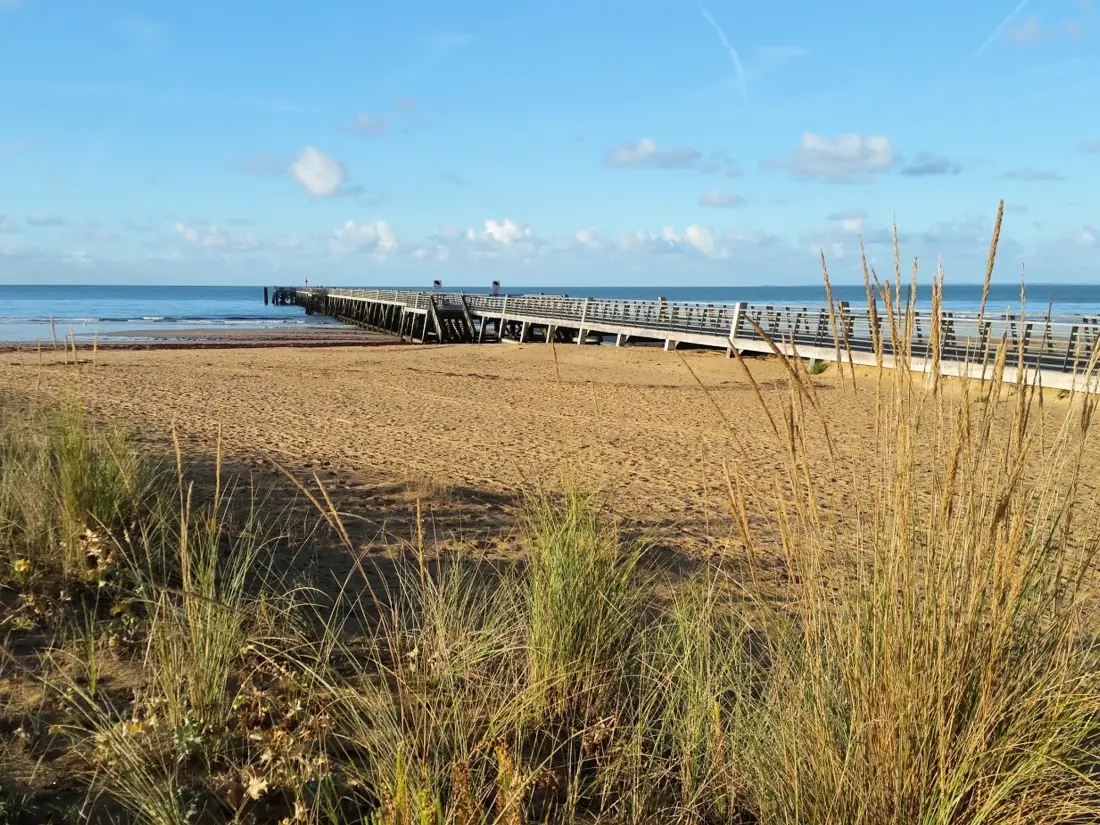 Location de Vacances Saint-Jean-de-Monts 457