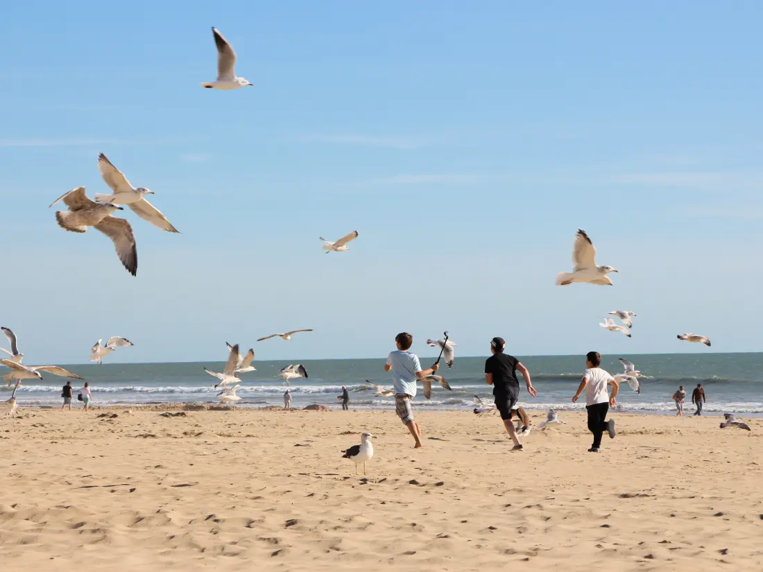 Location de Vacances Saint-Jean-de-Monts 486