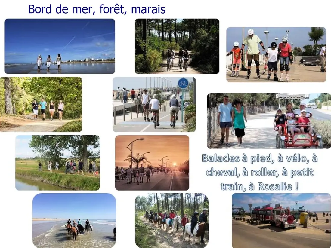Location de Vacances Saint-Jean-de-Monts 515