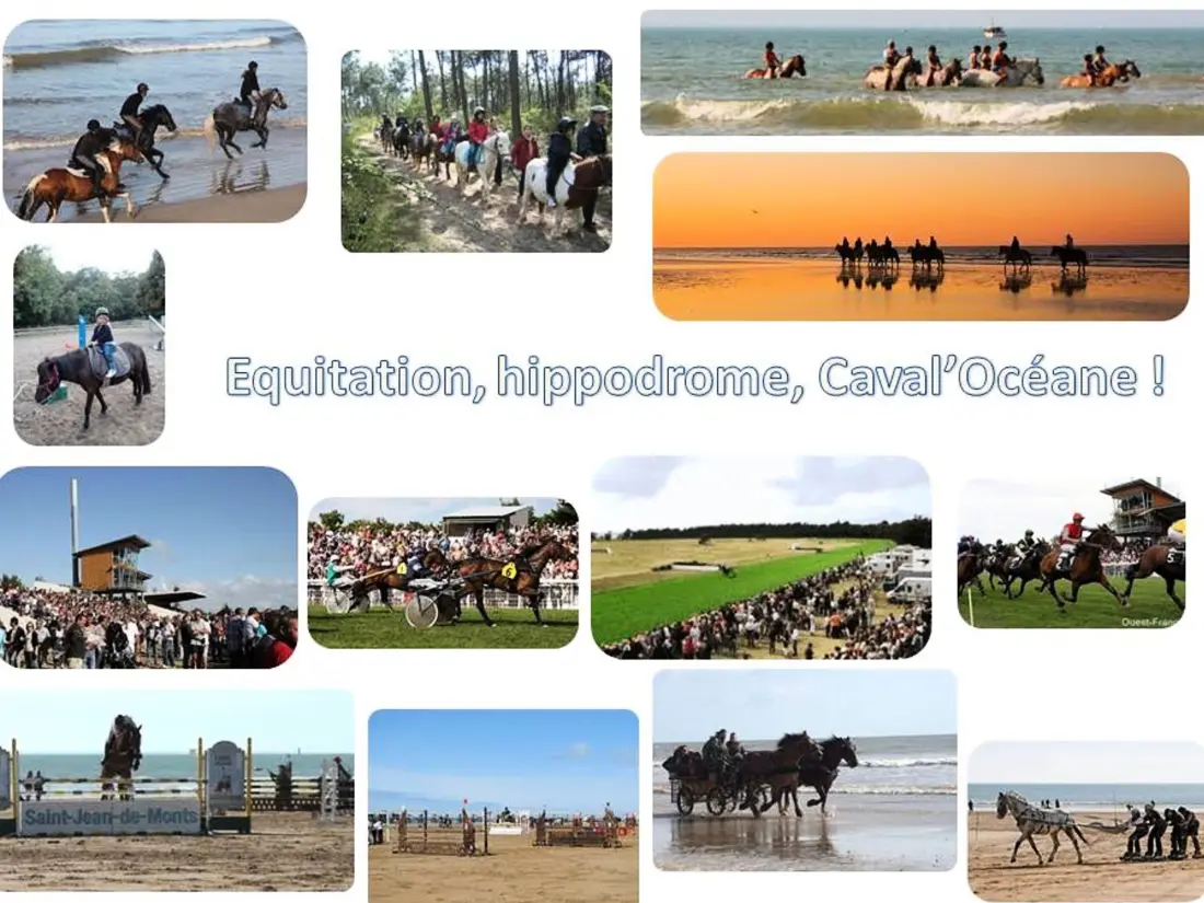 Location de Vacances Saint-Jean-de-Monts 515