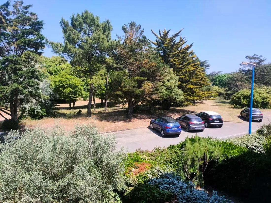 Location de Vacances Saint-Jean-de-Monts 565