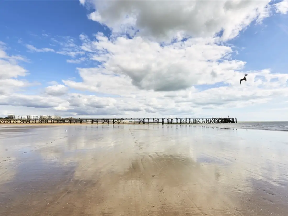 Location de Vacances Saint-Jean-de-Monts 572