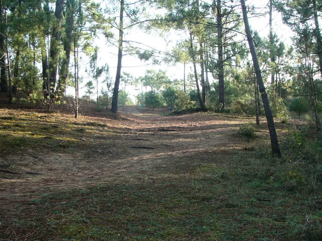 Location de Vacances Saint-Jean-de-Monts 605