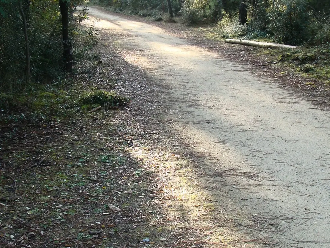 Location de Vacances Saint-Jean-de-Monts 612