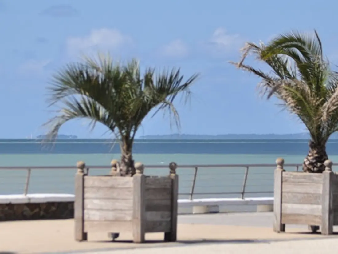 Location de Vacances Saint-Jean-de-Monts 615