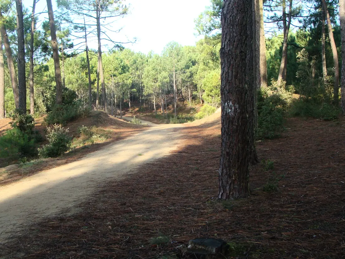 Location de Vacances Saint-Jean-de-Monts 655
