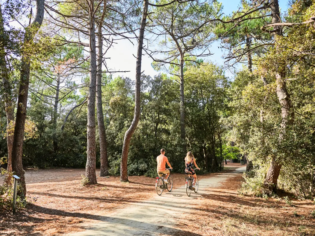 Location de Vacances Saint-Jean-de-Monts 802