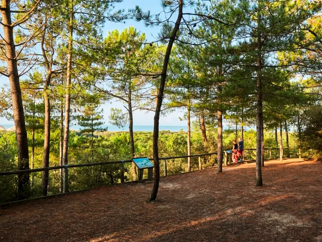 Location de Vacances Saint-Jean-de-Monts 836