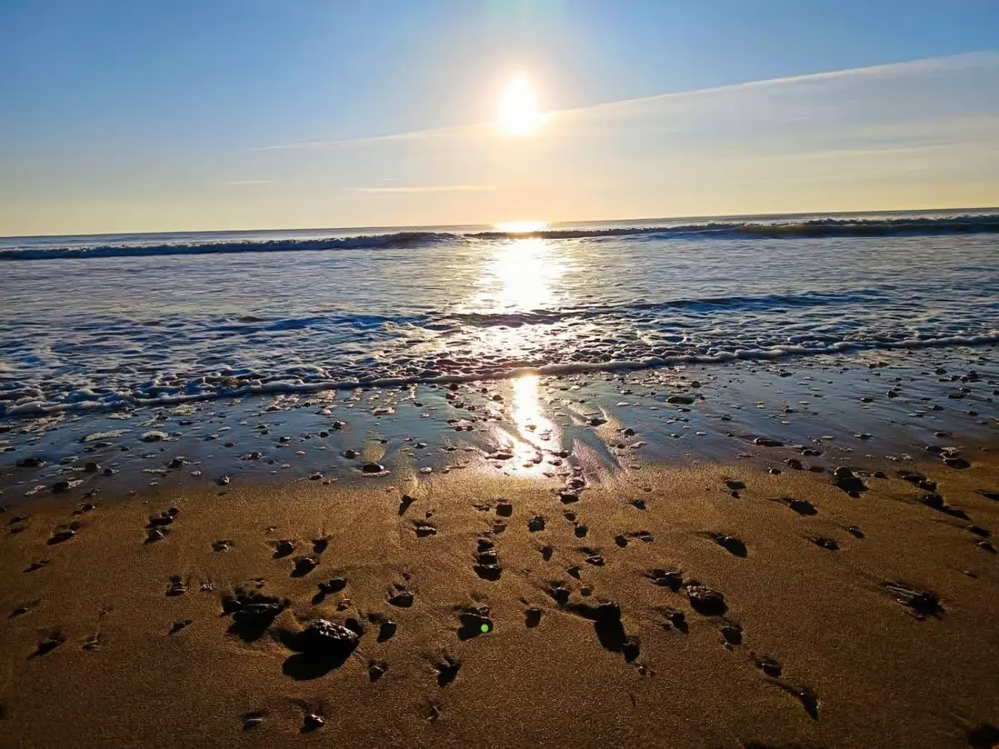 Résidence Dunes E