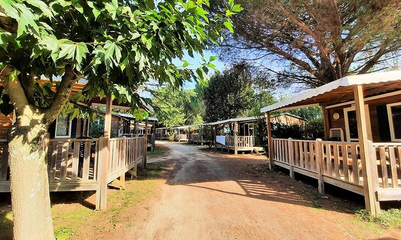 Camping Pyrénées Orientales