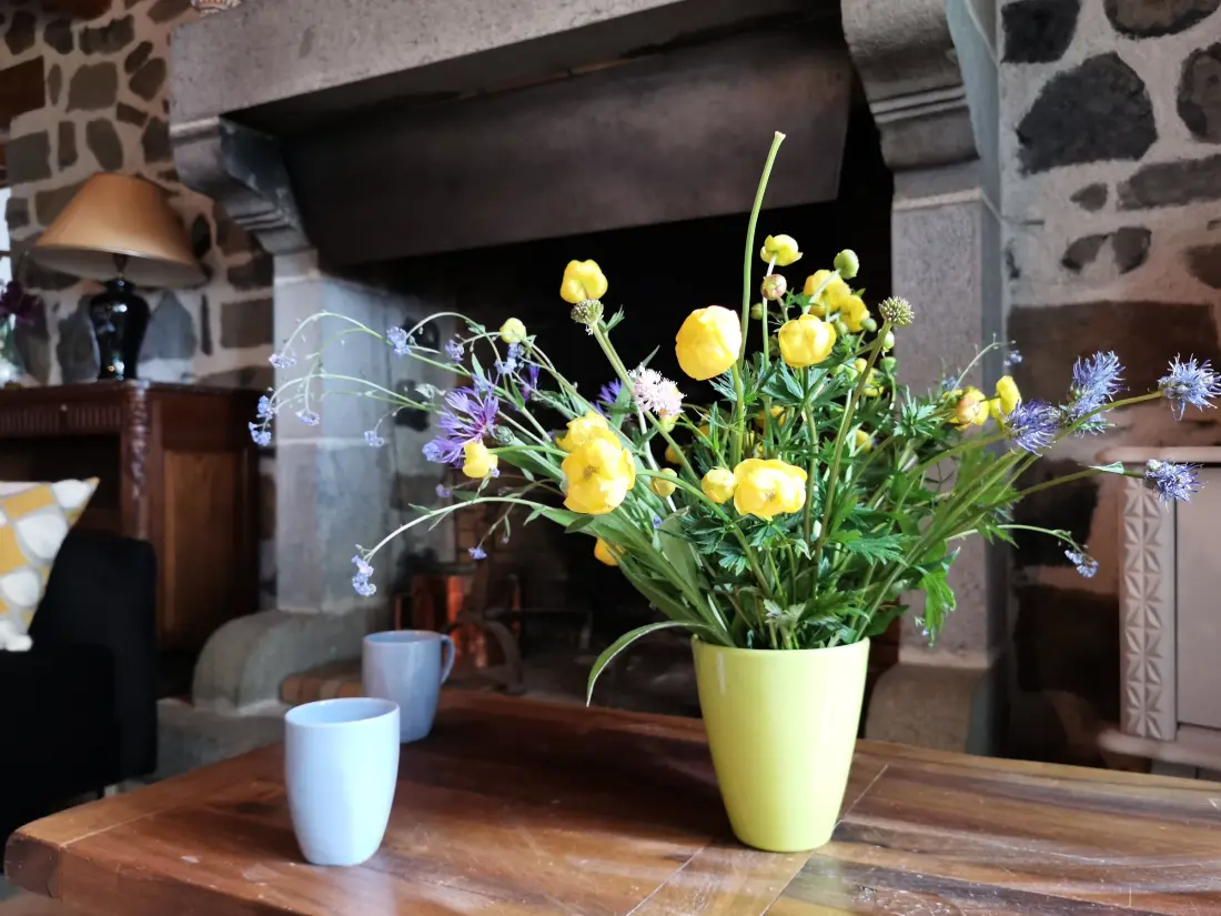 Maison de Vacances Saint-Julien-Chapteuil 5