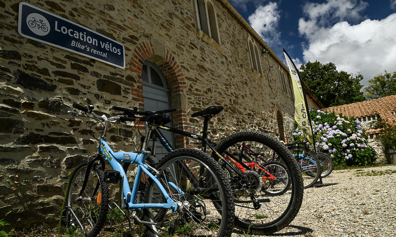 Camping Château La Forêt - Saint-Julien-des-Landes - 21