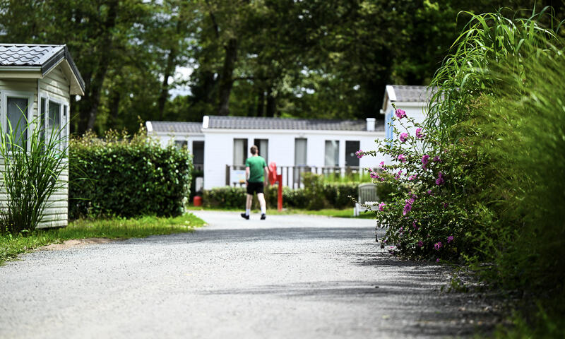 Camping Château La Forêt - Saint-Julien-des-Landes - 43