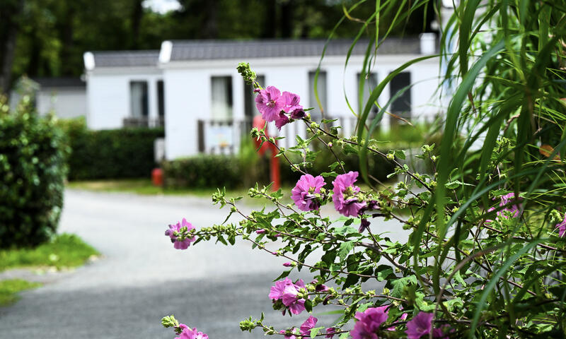 Camping Château La Forêt - Saint-Julien-des-Landes - 45