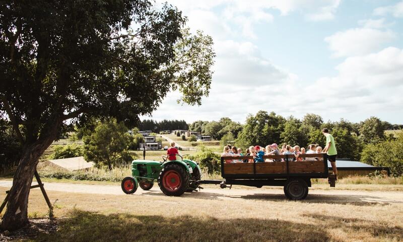Camping La Guyonnière - - Saint-Julien-des-Landes - 13