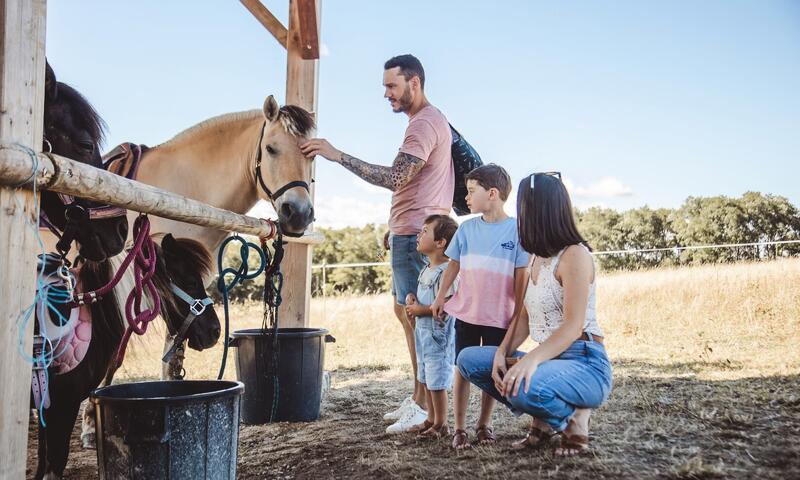 Camping La Guyonnière - - Saint-Julien-des-Landes - 25