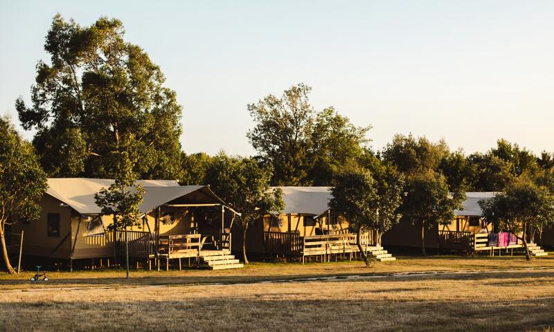 Camping La Guyonnière - - Saint-Julien-des-Landes - 33