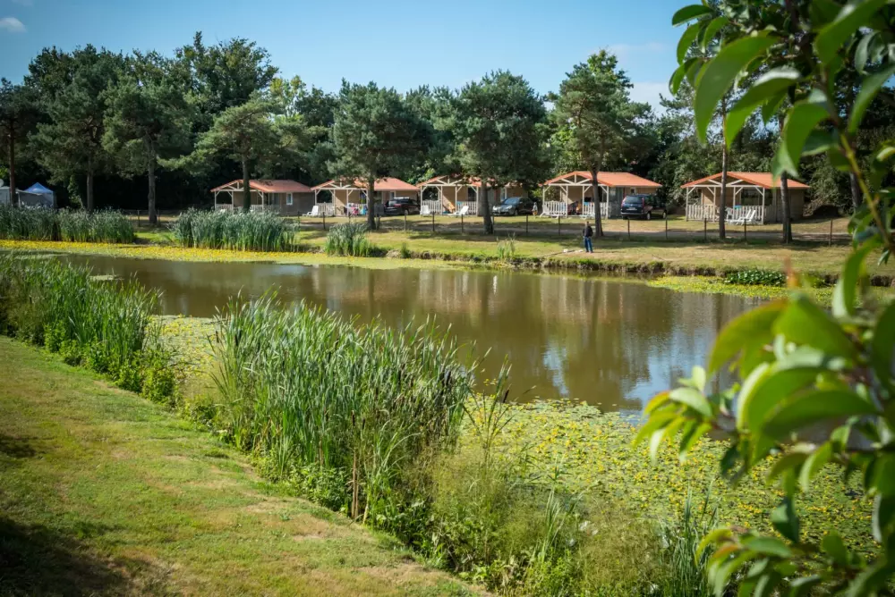 Camping Paradis La Bretonnière4 étoiles★★★★
