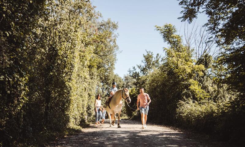 France - Atlantique Nord - Saint Julien des Landes - Camping Village de la Guyonnière 5*