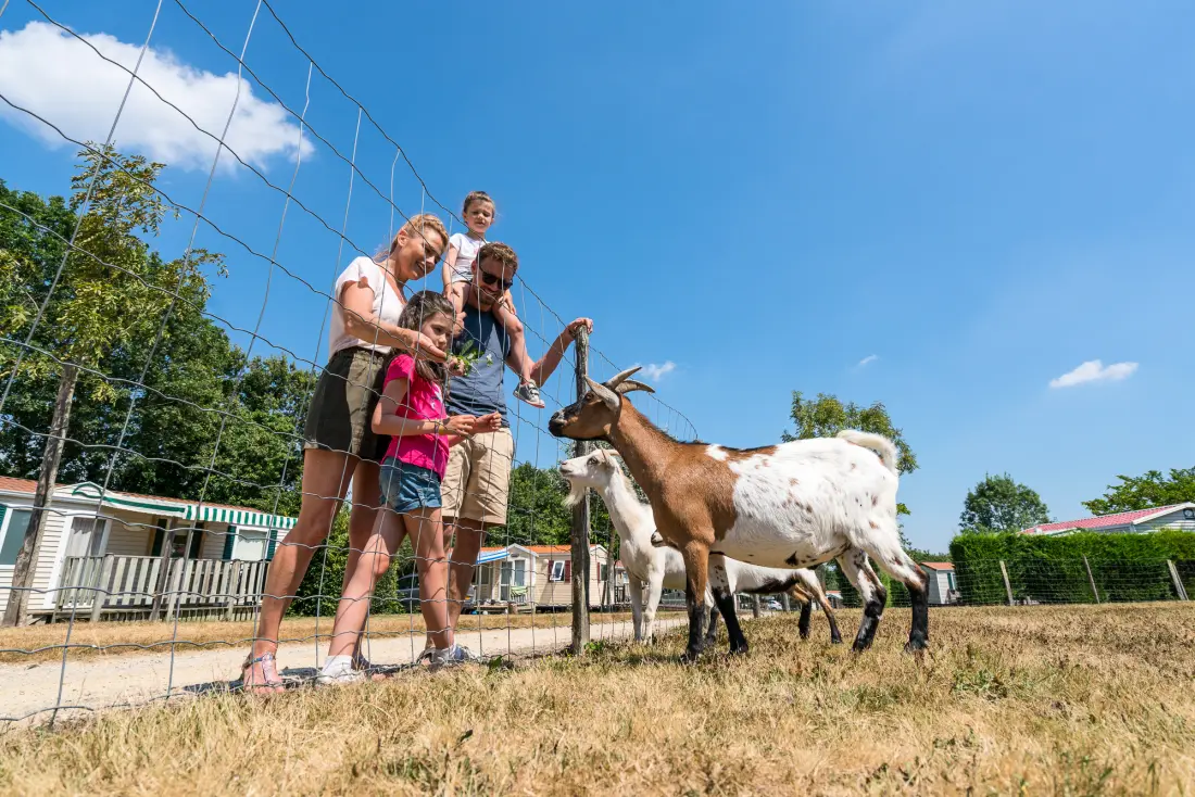 Camping Village de La Guyonnière 5 étoiles★★★★★