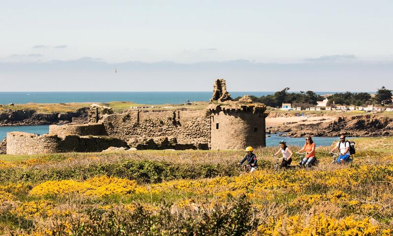 France - Atlantique Nord - Saint Julien des Landes - Camping Village de la Guyonnière 5*