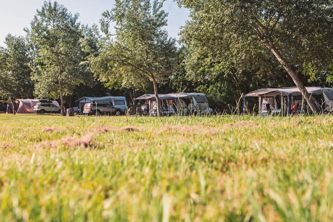 Camping Village de La Guyonnière 5 étoiles★★★★★