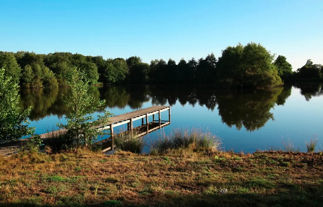 Domaine Résidentiel Odalys de plein air le Château de la Forêt