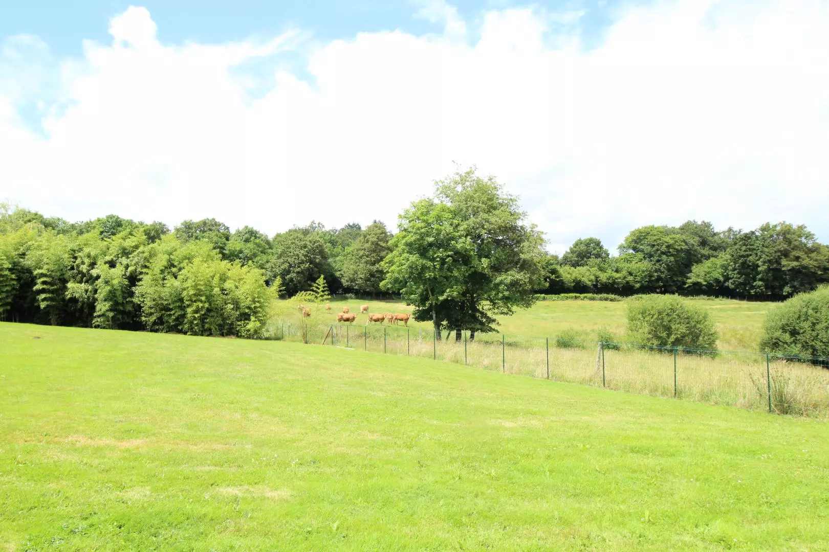 Gîte de France Le château de feuillade 3 épis - - Saint Laurent sur Gorre - 46
