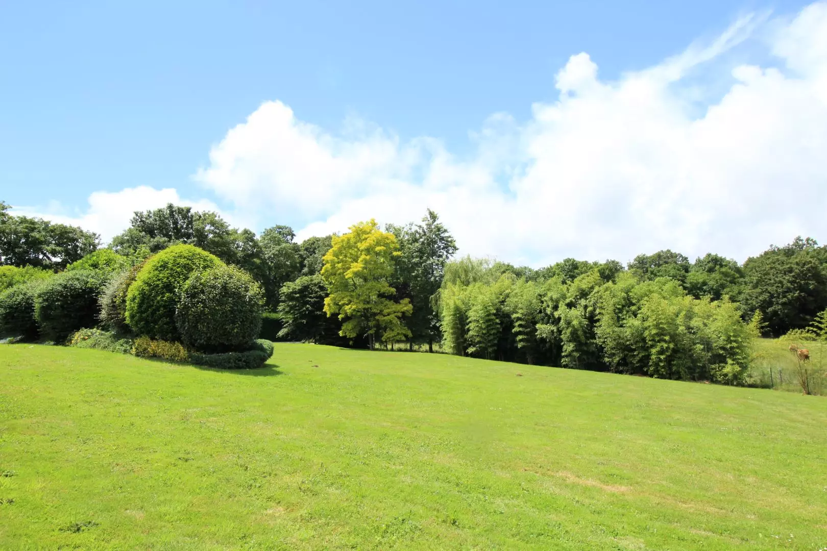 Gîte de France Le château de feuillade 3 épis - - Saint Laurent sur Gorre - 45