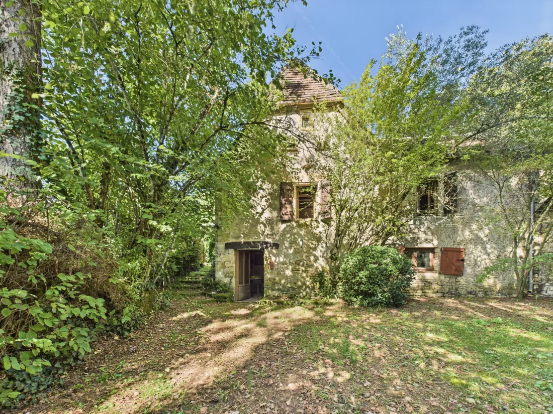 Maison à Saint Leon sur Vezere