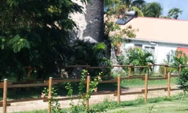 Villa Gligli - - Saint Louis - 25
