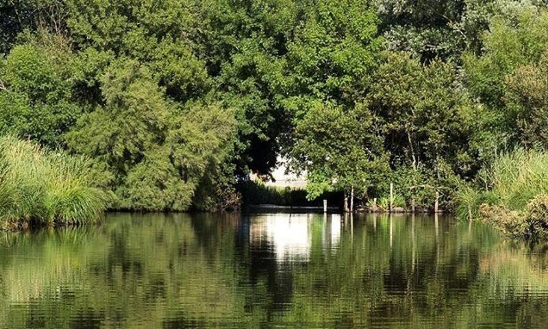 France - Atlantique Nord - Saint Lyphard - Camping Fleur de Brière 3*