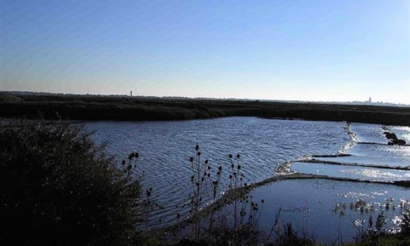 France - Atlantique Nord - Saint Lyphard - Camping Fleur de Brière 3*