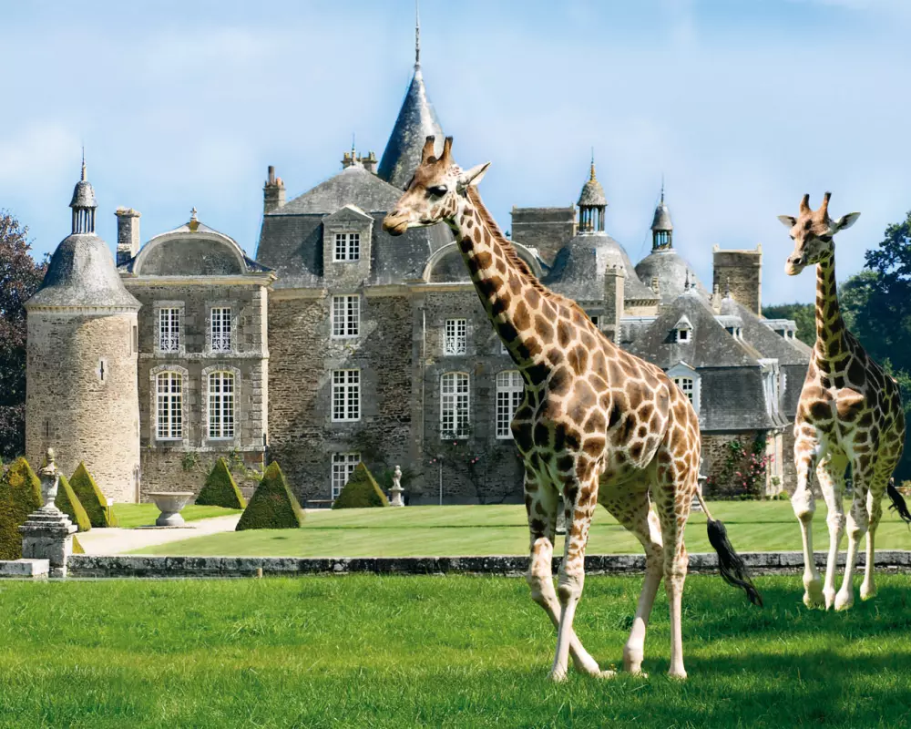 Camping Domaine de la Ville Huchet4 étoiles★★★★