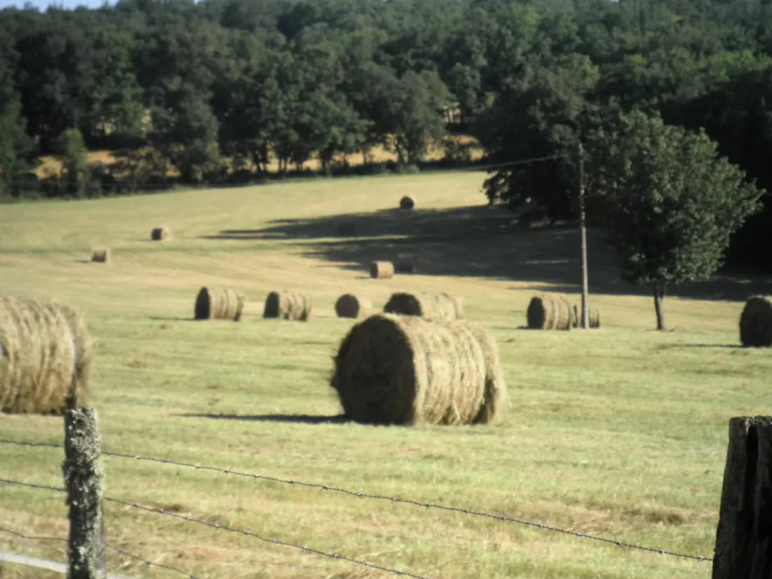Maison de Vacances SAINT-MARCEL-DU-PERIGORD 3