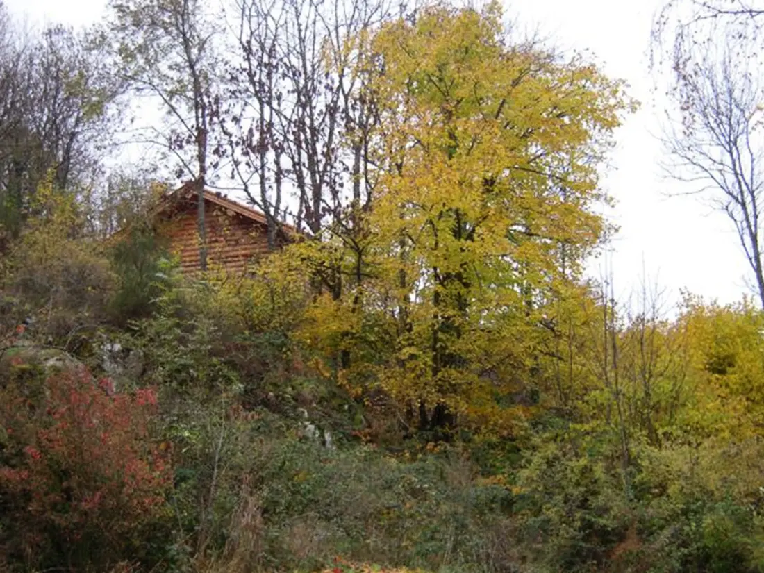 Maison de Vacances SAINT-MARTIN-LA-SAUVETE 5