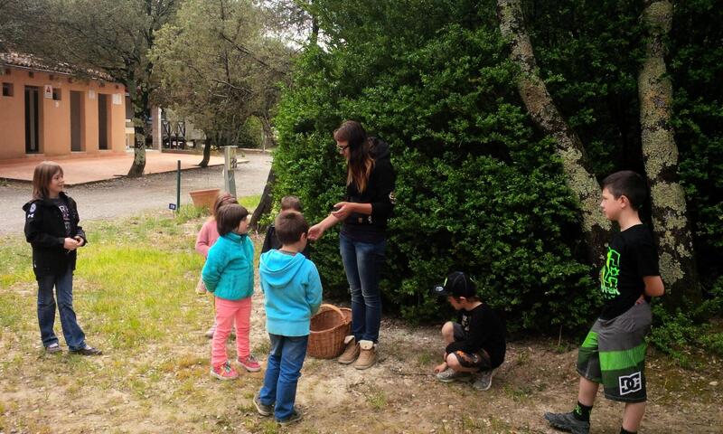 Camping Le Sous-Bois Ardèche *** - Saint Maurice d'Ibie - 16