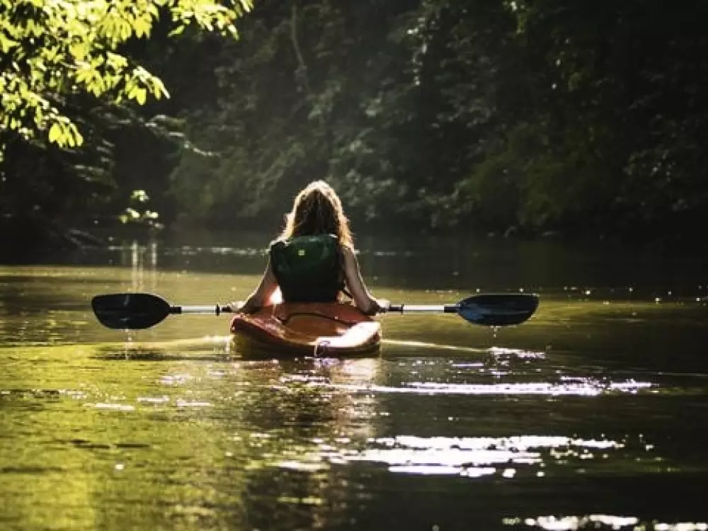 Camping Le Sous Bois  4 étoiles★★★★
