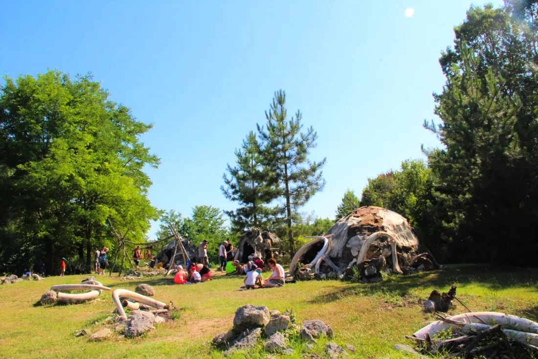 Flower Camping L'Abri-Côtier 3 étoiles★★★