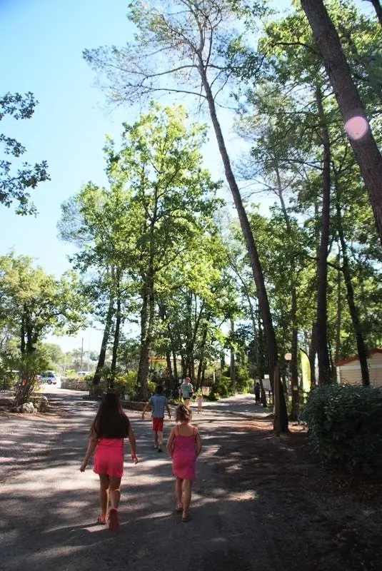 Camping Le Parc 4 étoiles★★★★