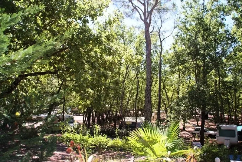 Camping Le Parc 4 étoiles★★★★
