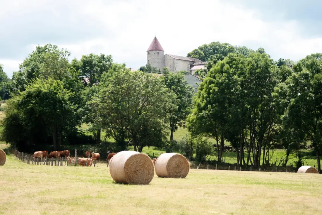 Flower Camping La Rochelambert 4 étoiles★★★★