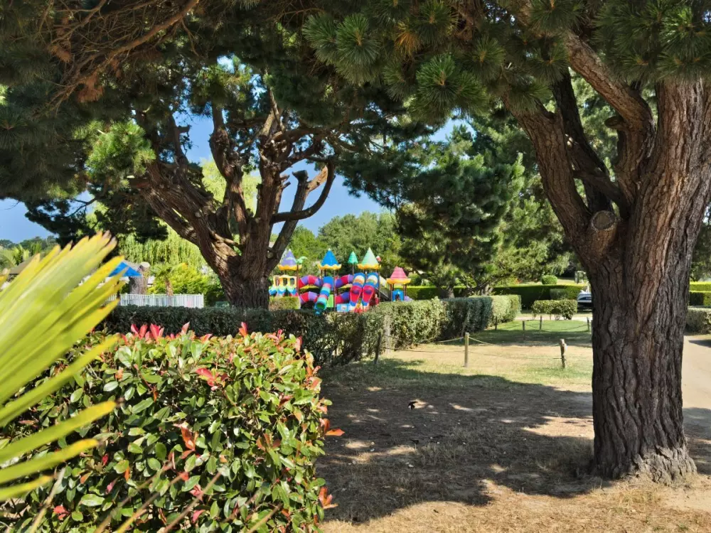 Camping Paradis Les Palmiers 3 étoiles★★★