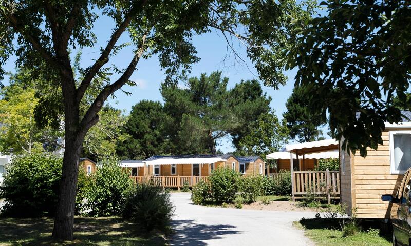 Flower Camping Le Kerarno **** - Saint Philibert - La Trinité sur Mer - 43