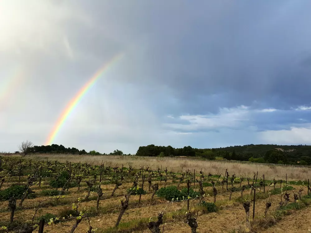 Résidence Les Hauts de St Pierre