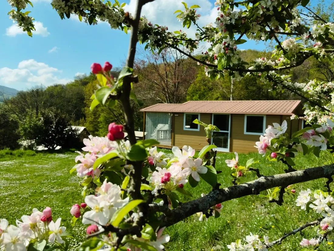 Flower Camping du Lac de Saint Point  Lamartine - Saône et Loire - Bourgogne du Sud  4 étoiles★★★★