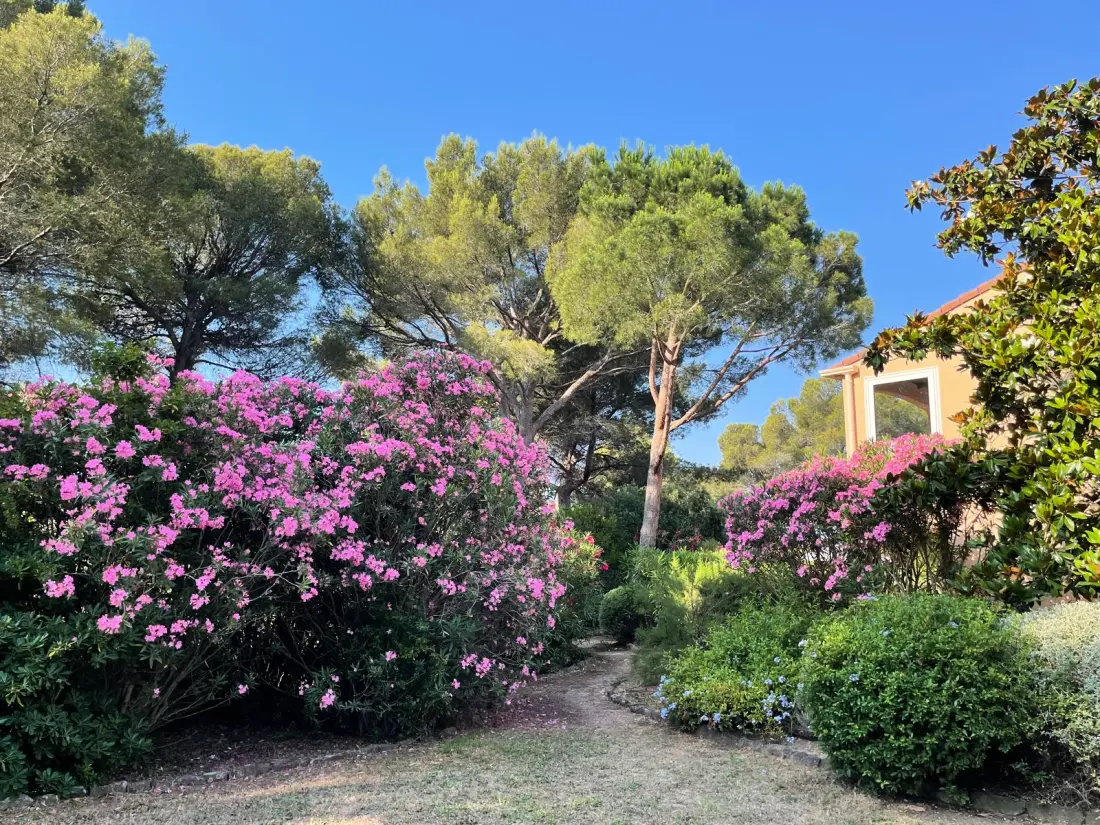 Appartements à Saint-Raphaël