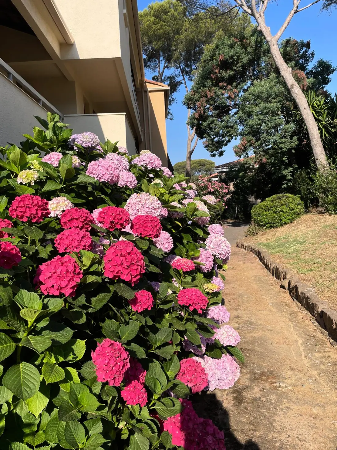 Appartements à Saint-Raphaël