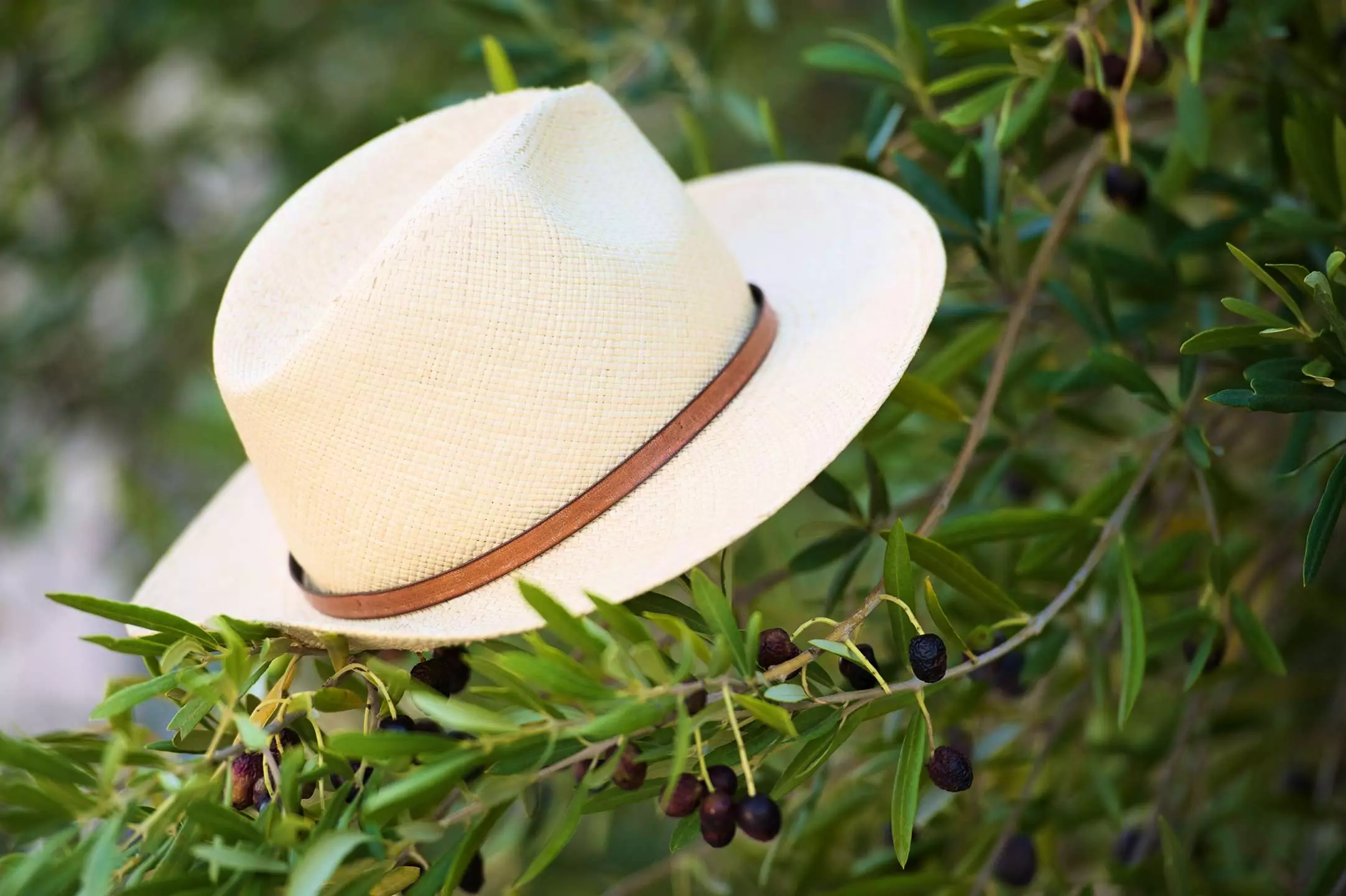 Résidence Cap Neree - - Saint-Raphaël - 18