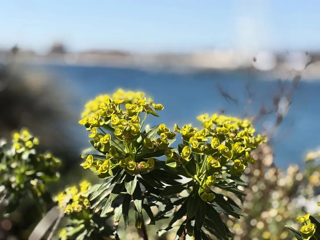 Résidence Iles